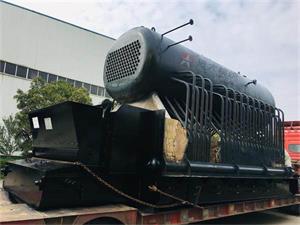 DZL8吨生物质蒸汽锅炉出口孟加拉