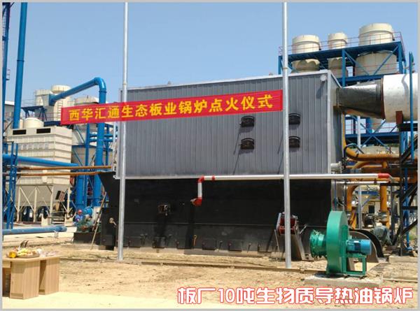 河南西华10吨生物质导热油锅炉