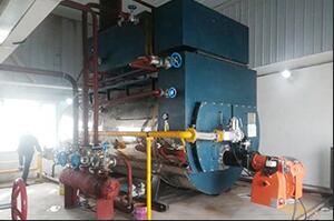 4吨燃气冷凝锅炉新疆阿克苏面业项目