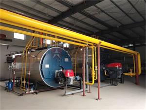 安徽亳州药业10吨和4吨燃气蒸汽锅炉项目